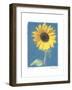 Summer II-Amy Melious-Framed Art Print