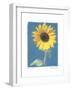 Summer II-Amy Melious-Framed Art Print