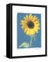 Summer II-Amy Melious-Framed Stretched Canvas