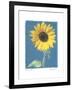 Summer II-Amy Melious-Framed Art Print