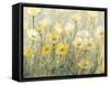 Summer in Bloom II-Tim O'toole-Framed Stretched Canvas