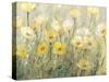 Summer in Bloom II-Tim O'toole-Stretched Canvas