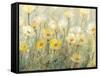 Summer in Bloom II-Tim O'toole-Framed Stretched Canvas