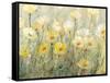 Summer in Bloom II-Tim O'toole-Framed Stretched Canvas