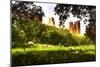 Summer in Central Park-Philippe Hugonnard-Mounted Giclee Print