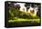 Summer in Central Park-Philippe Hugonnard-Framed Stretched Canvas