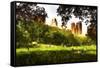 Summer in Central Park-Philippe Hugonnard-Framed Stretched Canvas