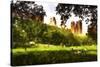 Summer in Central Park-Philippe Hugonnard-Stretched Canvas