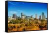 Summer in Denver Colorado-duallogic-Framed Stretched Canvas