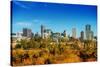 Summer in Denver Colorado-duallogic-Stretched Canvas