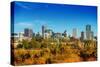 Summer in Denver Colorado-duallogic-Stretched Canvas