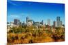 Summer in Denver Colorado-duallogic-Mounted Photographic Print