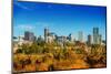 Summer in Denver Colorado-duallogic-Mounted Photographic Print