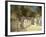 Summer in Hyde Park-Peter Miller-Framed Giclee Print