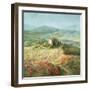 Summer in Provence-Danhui Nai-Framed Art Print