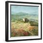 Summer in Provence-Danhui Nai-Framed Art Print