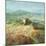 Summer in Provence-Danhui Nai-Mounted Art Print