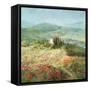 Summer in Provence-Danhui Nai-Framed Stretched Canvas