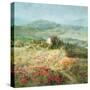 Summer in Provence-Danhui Nai-Stretched Canvas