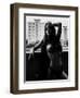 Summer in the City-Martin Krystynek-Framed Photographic Print