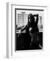 Summer in the City-Martin Krystynek-Framed Photographic Print