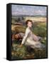 Summer in the Fields, (Oil on Canvas)-George Clausen-Framed Stretched Canvas