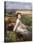 Summer in the Fields, (Oil on Canvas)-George Clausen-Stretched Canvas