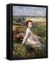 Summer in the Fields-Sir George Clausen-Framed Stretched Canvas
