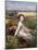 Summer in the Fields-Sir George Clausen-Mounted Giclee Print