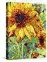 Summer in the Garden-Mandy Budan-Stretched Canvas