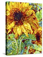 Summer in the Garden-Mandy Budan-Stretched Canvas