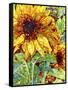 Summer in the Garden-Mandy Budan-Framed Stretched Canvas