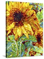 Summer in the Garden-Mandy Budan-Stretched Canvas