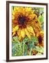 Summer in the Garden-Mandy Budan-Framed Giclee Print