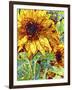 Summer in the Garden-Mandy Budan-Framed Giclee Print