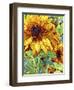 Summer in the Garden-Mandy Budan-Framed Giclee Print