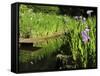 Summer in the Portland Japanese Garden, Portland, Oregon, USA-Michel Hersen-Framed Stretched Canvas