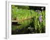 Summer in the Portland Japanese Garden, Portland, Oregon, USA-Michel Hersen-Framed Photographic Print