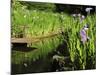 Summer in the Portland Japanese Garden, Portland, Oregon, USA-Michel Hersen-Mounted Photographic Print