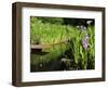 Summer in the Portland Japanese Garden, Portland, Oregon, USA-Michel Hersen-Framed Photographic Print