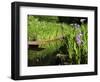 Summer in the Portland Japanese Garden, Portland, Oregon, USA-Michel Hersen-Framed Photographic Print