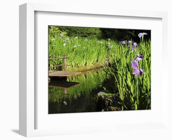 Summer in the Portland Japanese Garden, Portland, Oregon, USA-Michel Hersen-Framed Photographic Print