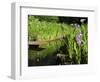 Summer in the Portland Japanese Garden, Portland, Oregon, USA-Michel Hersen-Framed Photographic Print