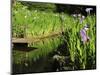 Summer in the Portland Japanese Garden, Portland, Oregon, USA-Michel Hersen-Mounted Photographic Print