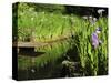 Summer in the Portland Japanese Garden, Portland, Oregon, USA-Michel Hersen-Stretched Canvas