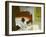 Summer Interior-Edward Hopper-Framed Giclee Print