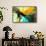 Summer Joy-Ursula Abresch-Framed Stretched Canvas displayed on a wall