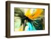 Summer Joy-Ursula Abresch-Framed Photographic Print