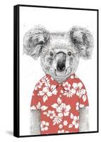 Summer Koala (Red)-Balazs Solti-Framed Stretched Canvas