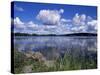 Summer, Lake at Ramen, North of Filipstad, Eastern Varmland, Sweden, Scandinavia-Richard Ashworth-Stretched Canvas